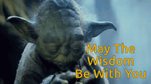 Yoda Saying May The Wisdom Be With You GIF