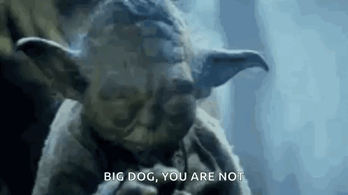 Yoda Smoking Pipe Saying Big Dog You Are Not