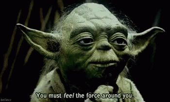 Yoda Talking About The Force