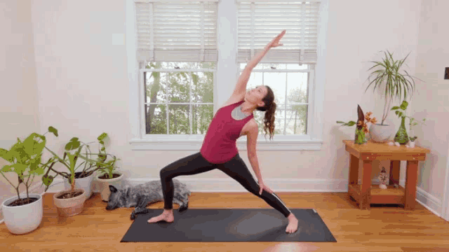 Yoga Reverse Warrior Pose GIF