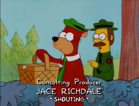 Yogi Bear Homi Bear GIF