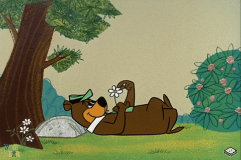 Yogi Bear She Loves Me GIF