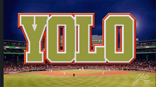 Yolo Baseball Animation GIF