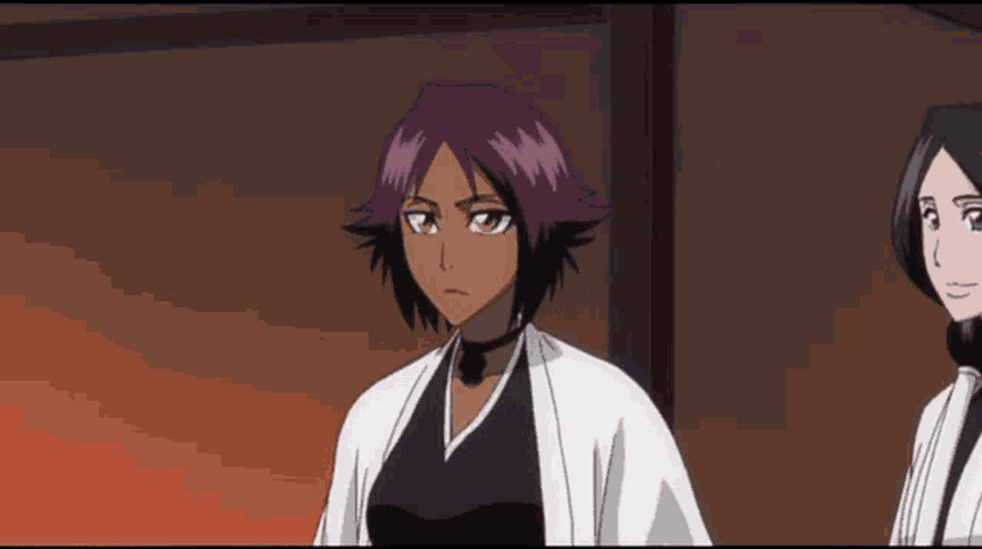 Yoruichi Shihōin Unohana Retsu Bleach Anime GIF