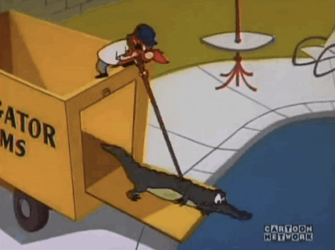 Yosemite Sam Putting Alligator In Pool GIF