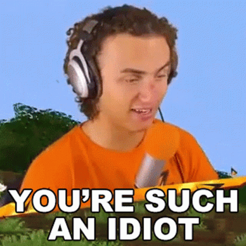 You Are An Idiot Kwebbelkop GIF