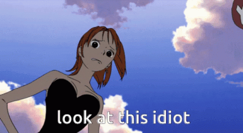 You Are An Idiot One Piece Anime GIF