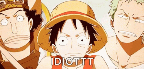You Are An Idiot Zoro Luffy Usopp GIF