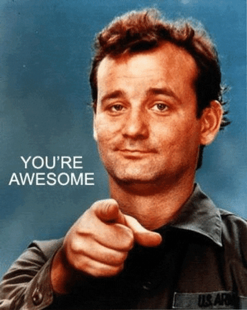 You Are Awesome Bill Murray GIF
