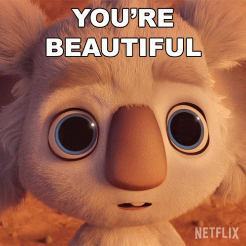You Are Beautiful Pretty Boy Koala GIF