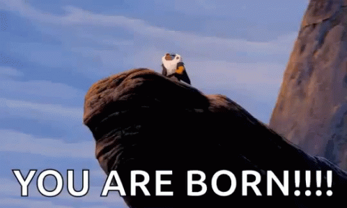 You Are Born Circle Of Life GIF