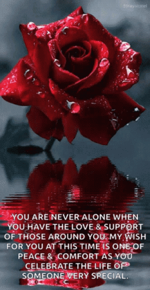 You Are Never Alone Rose GIF