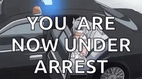 You Are Now Arrested GIF