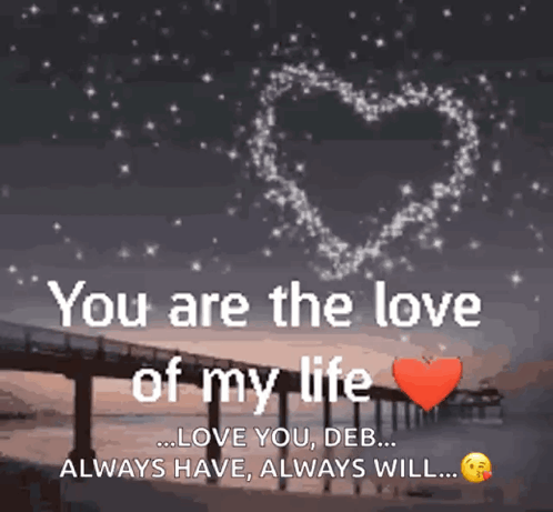 You Are The Love Of My Life Always Have Always Will