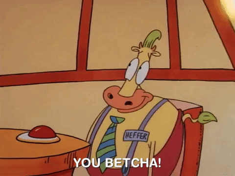 You Betcha Rockos Modern Life Nicksplat GIF