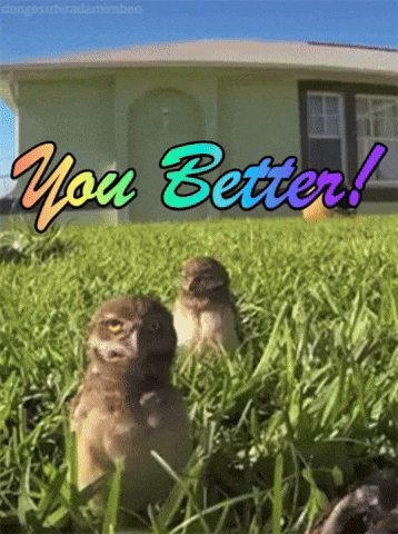 You Better Dance Like This GIF