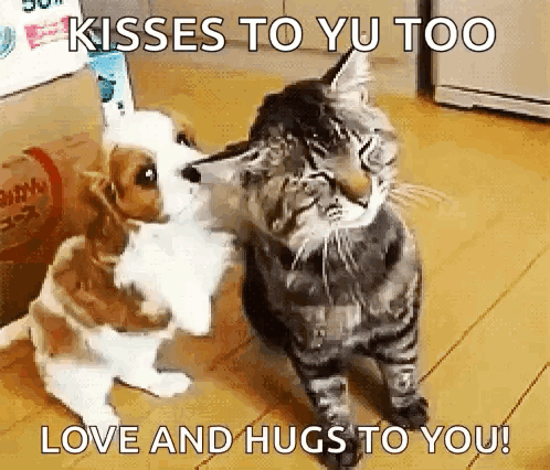 You Better Hug Kiss Love Me GIF
