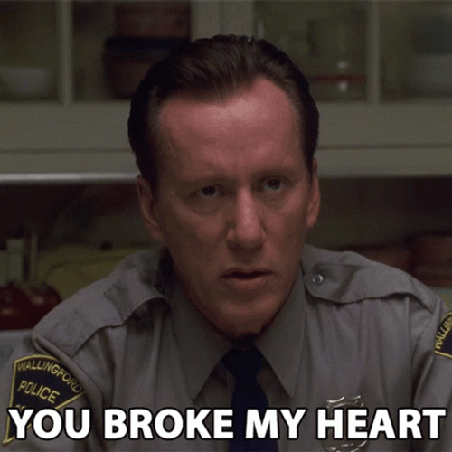 You Blew It You Broke My Heart GIF