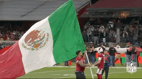 You Boys Like Mexico Big Flag GIF