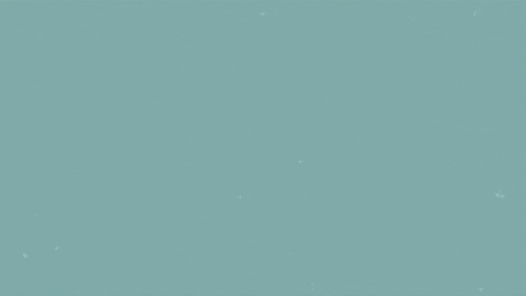 You Boys Like Mexico Coast Of Mexico GIF