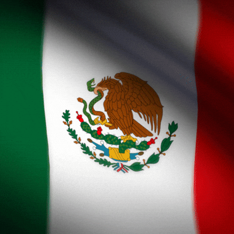 You Boys Like Mexico Flag Wave Motion GIF