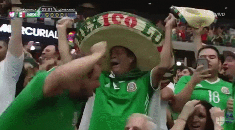 You Boys Like Mexico Team Cheering GIF