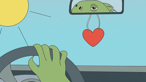 You Boys Like Mexico The Coast Of Mexico GIF