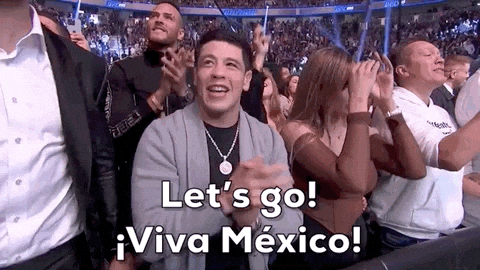 You Boys Like Mexico Viva Mexico GIF