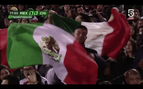 You Boys Like Mexico Waving Flag GIF