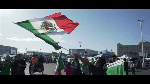 You Boys Like Mexico Waving Flag Proudly GIF
