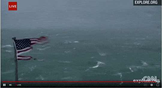 You Call This A Signal Number One Storm GIF