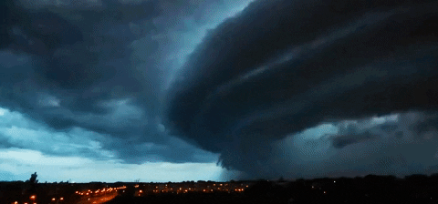 You Call This A Tornado Storm GIF