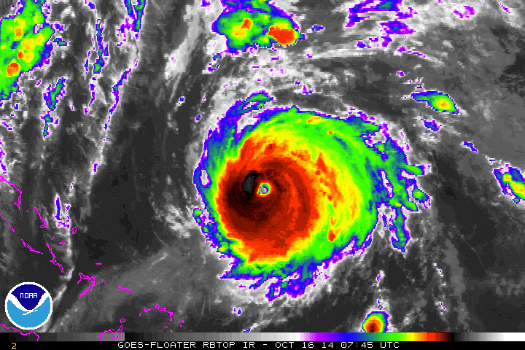 You Call This An Eye Storm GIF