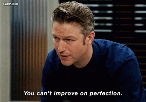 You Can't Improve On Perfection GIF
