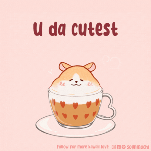 You Da Bomb U The Cutest Fluffy Hamster GIF