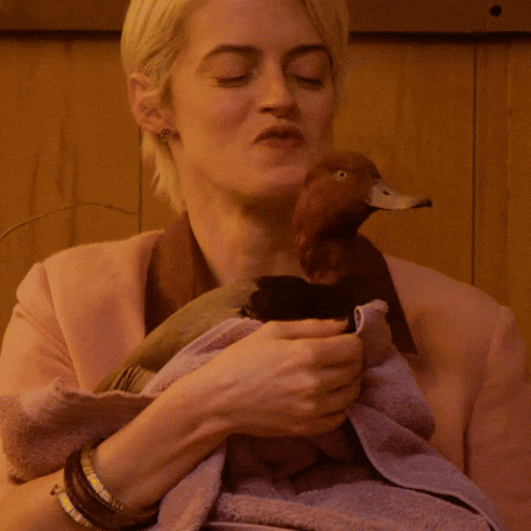 You Did It Congratulations On Your New Job GIF