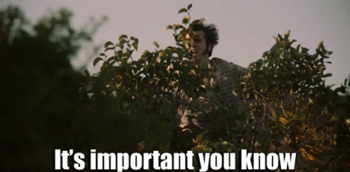 You Didn't See Anything Comedy Central GIF