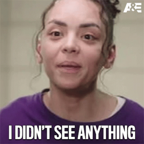 You Didn't See Anything Jennifer GIF