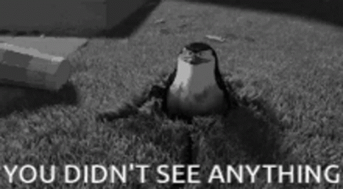You Didn't See Anything Little Penguin GIF