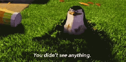 You Didn't See Anything Madagascar Skipper GIF