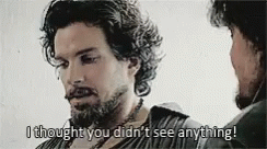 You Didn't See Anything The Musketeers GIF