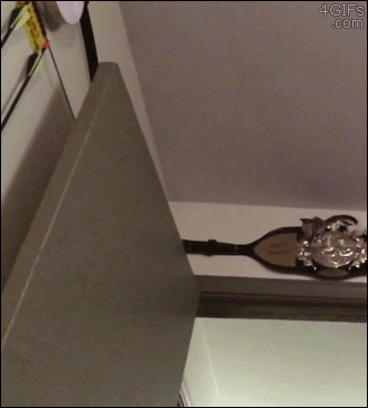 You Died Dark Souls Sugar Glider GIF