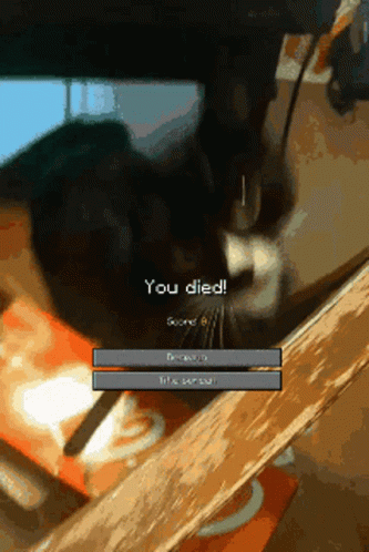 You Died Mine Craft Cat Attack GIF