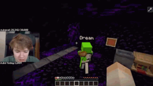 You Died Minecraft Tommyinnit Streamer GIF