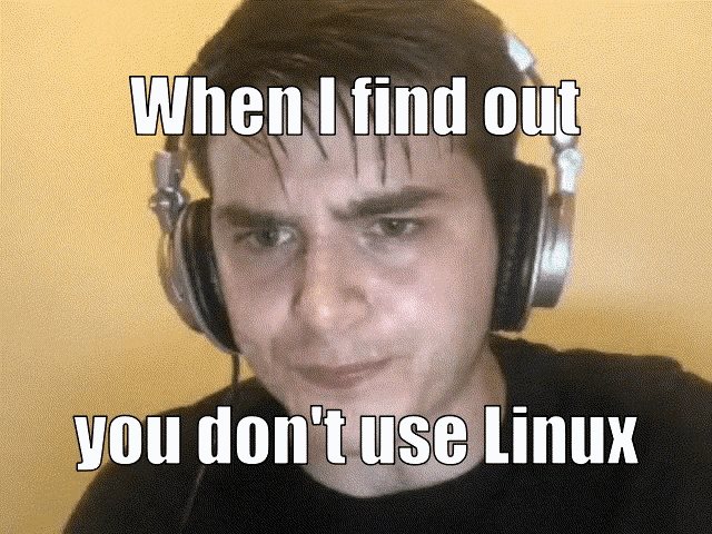 You Don't Use Linux Meme GIF