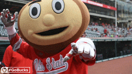 You Go Man Buckeyes GIF
