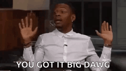 You Got It Big Dawg GIF