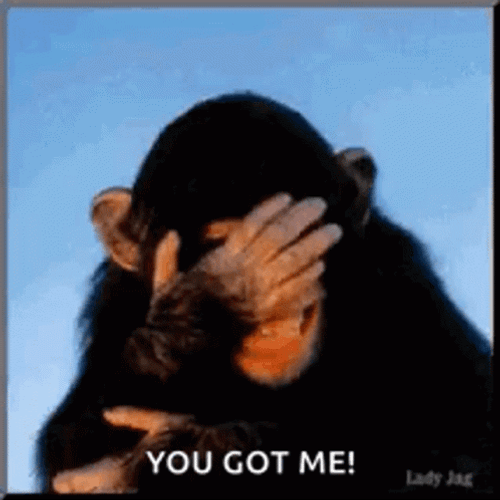 You Got Me Monkey Face Palm GIF