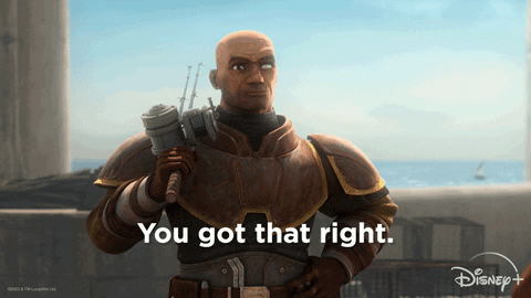 You Got That Right Star Wars Animation GIF