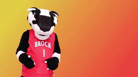 You Got This Brock Badgers Mascot GIF